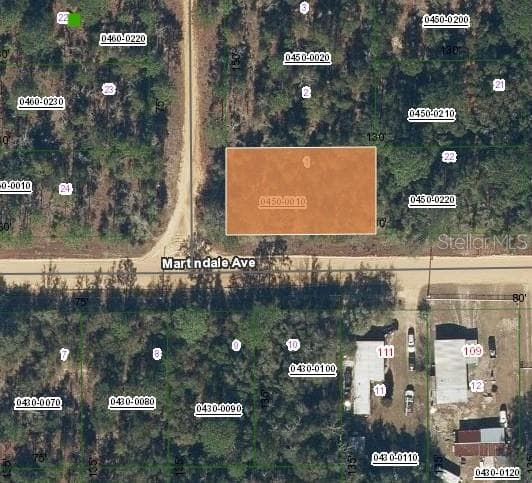 LOT 1 MARTINEDALE AVENUE INTERLACHEN, FL 32148