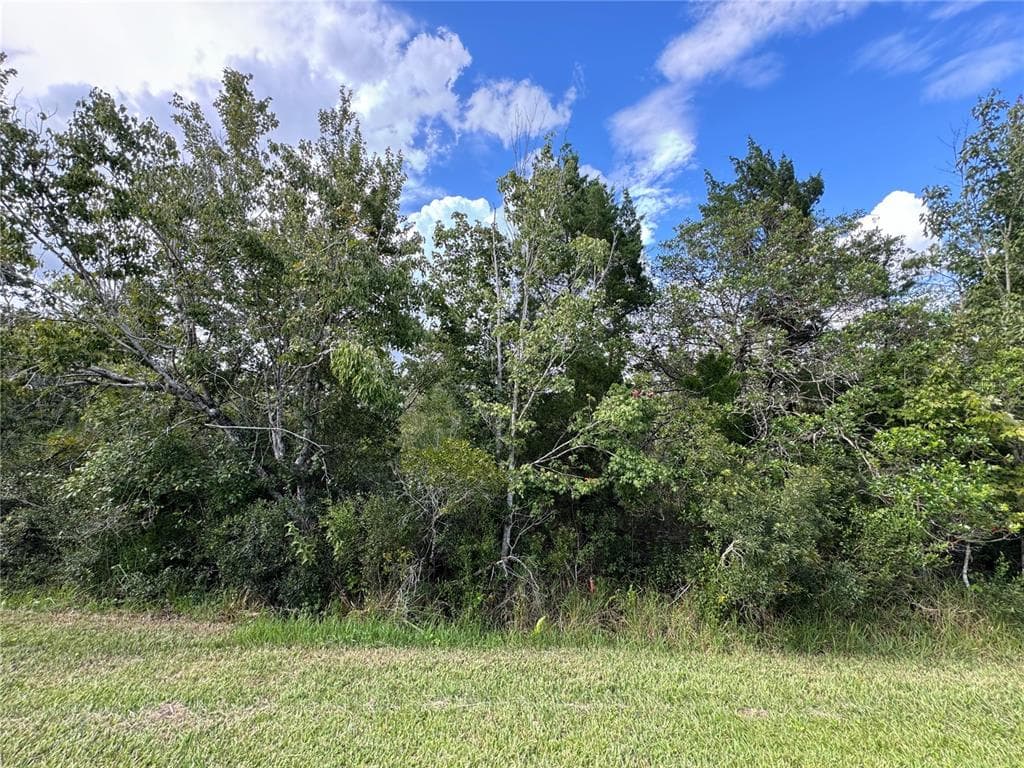 SHELDON STREET ORLANDO, FL 32833