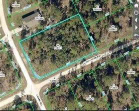 16200 CRANE ROAD WEEKI WACHEE, FL 34614
