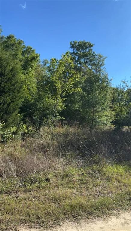 2405 WILSON ST STREET INVERNESS, FL 34453