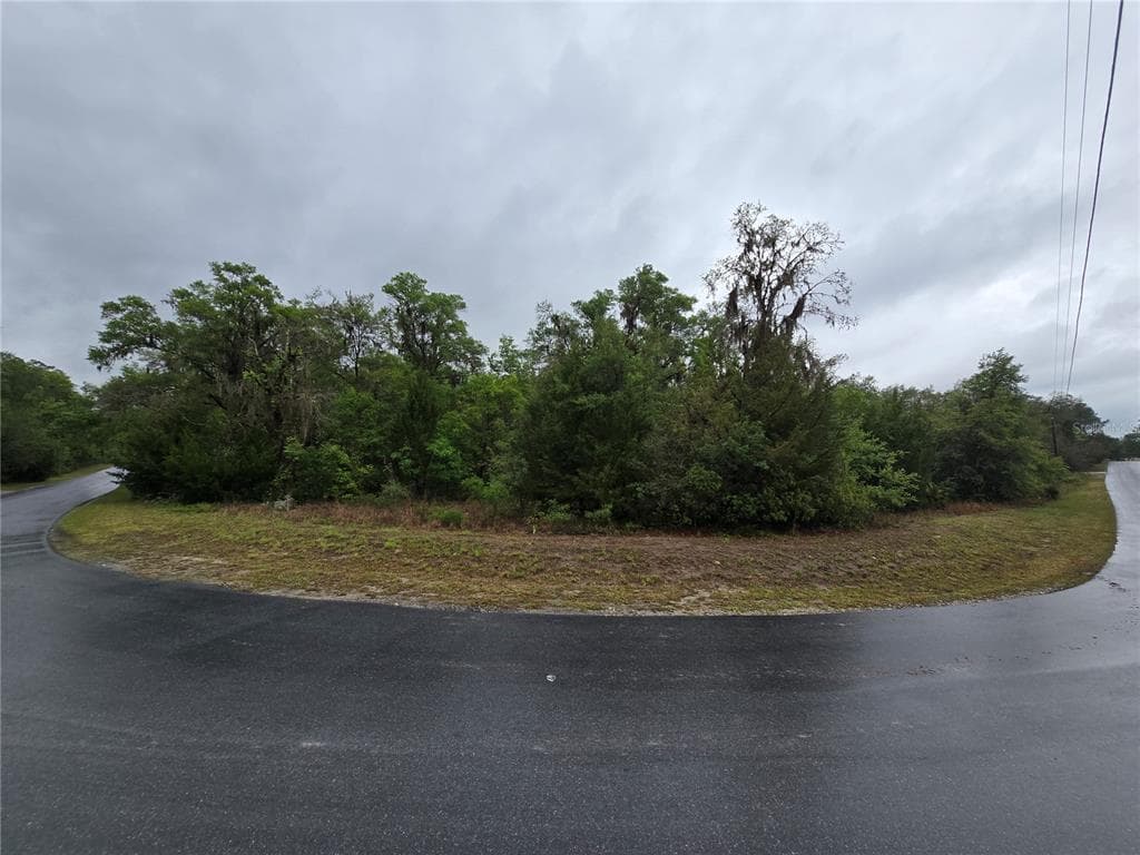 6727 N LINEN POINT DUNNELLON, FL 34433