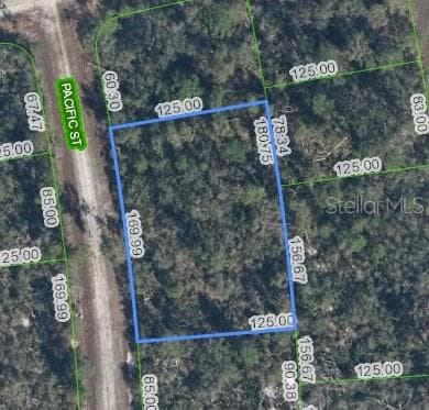 719 PACIFIC STREET LAKE PLACID, FL 33852