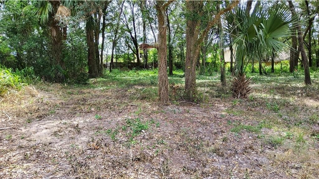 25050 ALGONQUIN AVENUE MOUNT PLYMOUTH, FL 32776