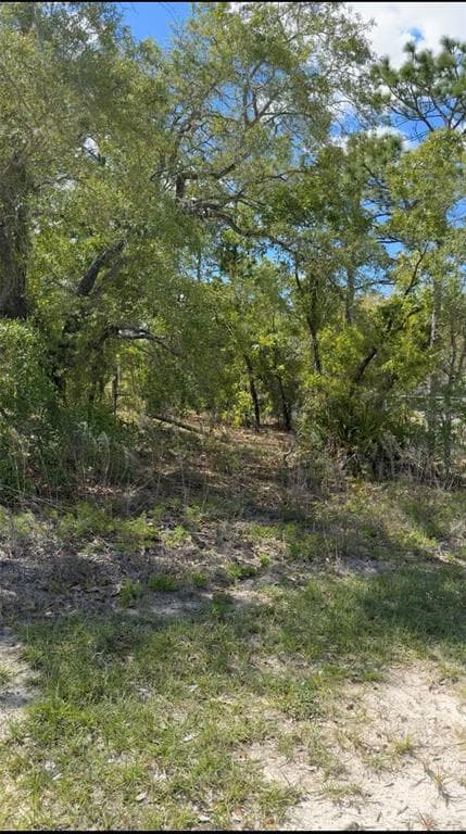 16155 MERGANSER ROAD WEEKI WACHEE, FL 34614