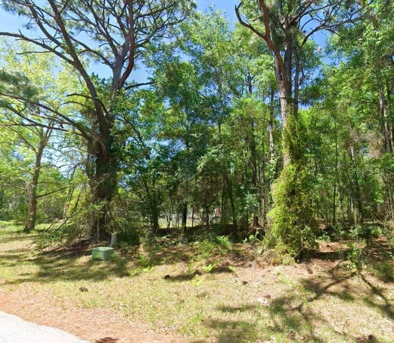 2581 W PHARAOH COURT UNIT 28 LECANTO, FL 34461