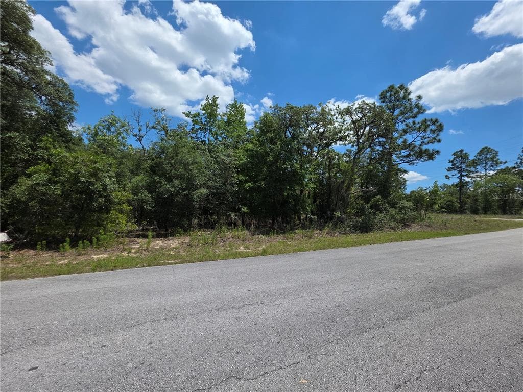 Lot 18 SW WOOD ROAD DUNNELLON, FL 34431