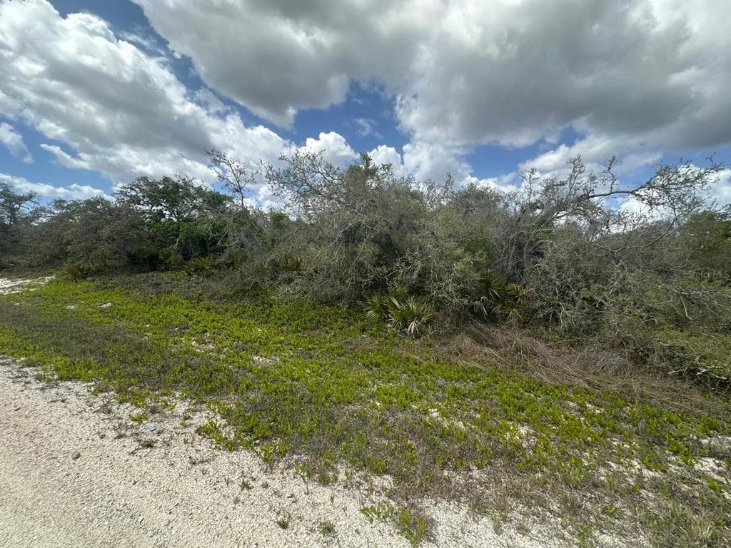 130 VAGABOND AVENUE LAKE PLACID, FL 33852