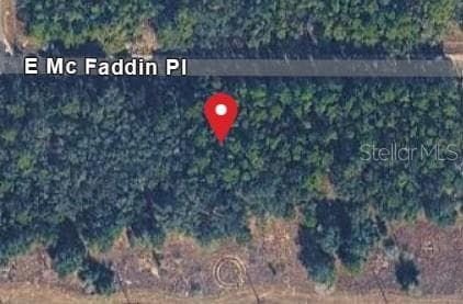 389 E MC FADDIN PLACE E DUNNELLON, FL 34434