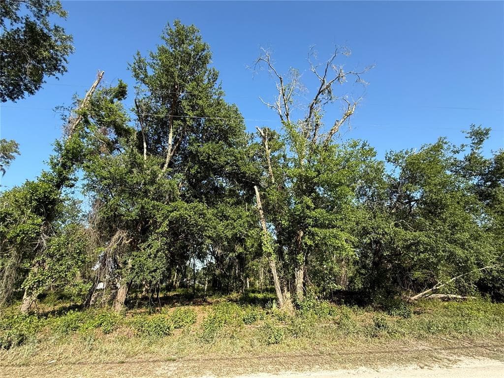 null OWENS DRIVE ZEPHYRHILLS, FL 33540