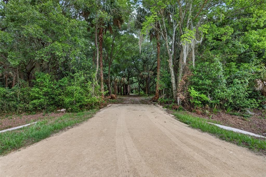 0 N US HWY 301 CITRA, FL 32113