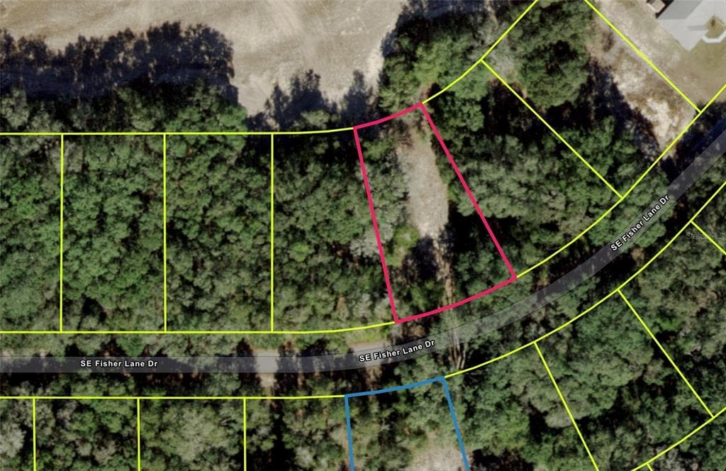 SE FISHER LANE DRIVE OCKLAWAHA, FL 32179