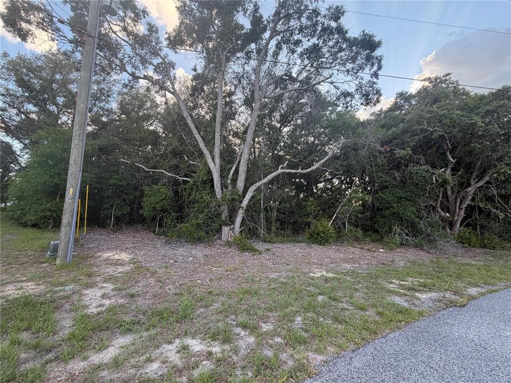 LOT 4 OCALA, FL 34473