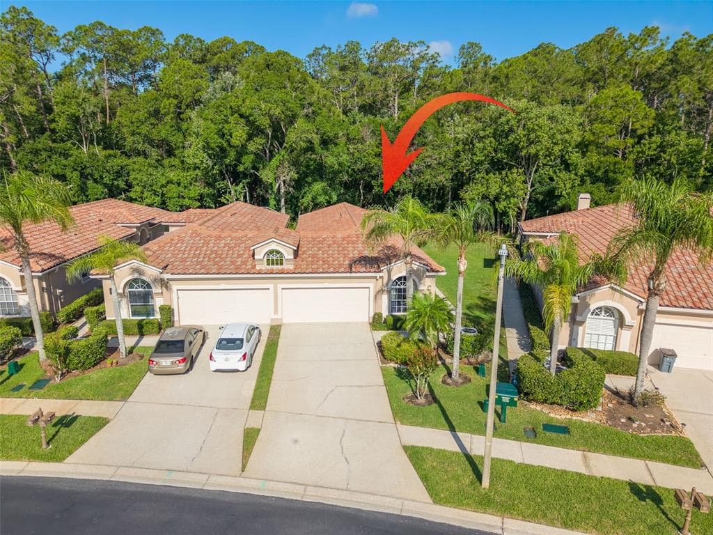 3764 DARSTON STREET PALM HARBOR, FL 34685