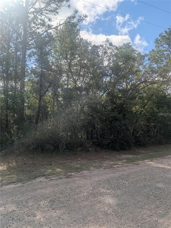 8791 N FOLLAND DRIVE DUNNELLON, FL 34433