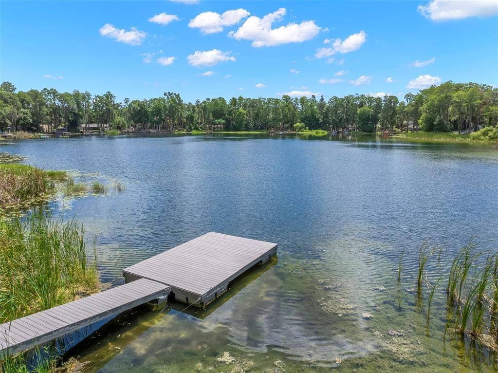 17309 N DALE MABRY HIGHWAY LUTZ, FL 33548
