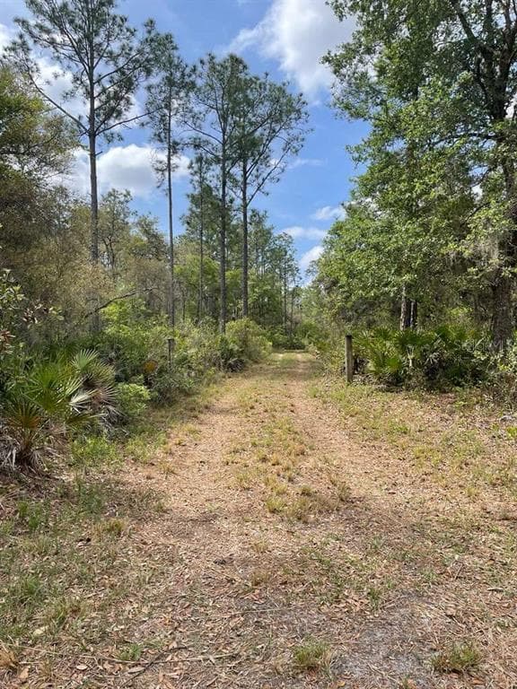 E HWY 318 CITRA, FL 32113