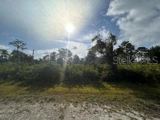 BLK 63 LOTS 11&12 EL DORADO DRIVE INDIAN LAKE ESTATES, FL 33855