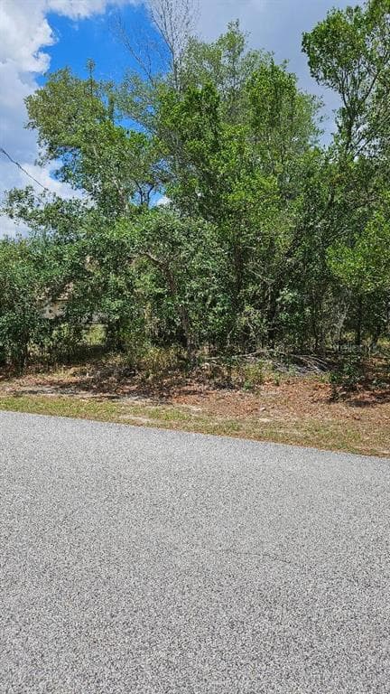 OXENHAM BROOKSVILLE, FL 34610