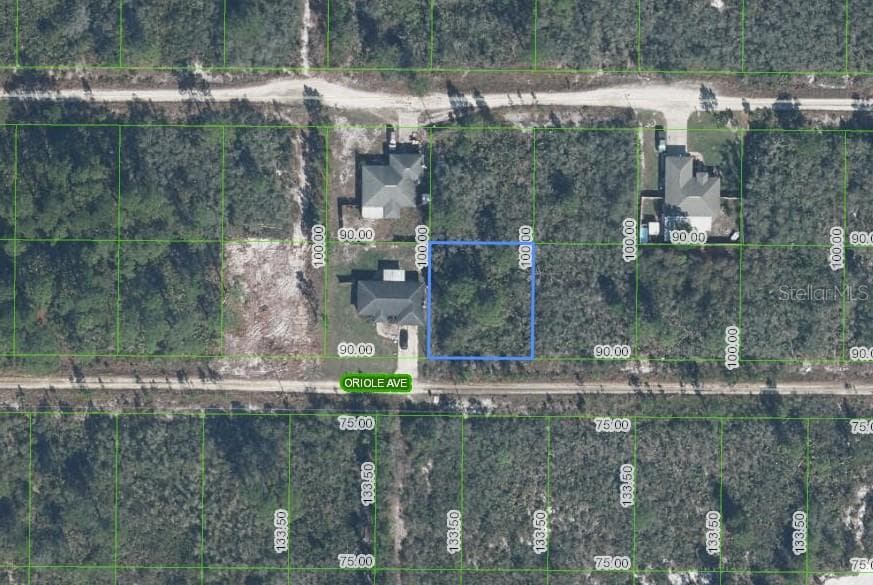 229 ORIOLE AVENUE SEBRING, FL 33870