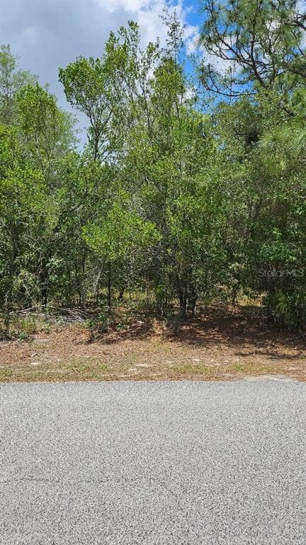 KERRY HILLS LANE BROOKSVILLE, FL 34610