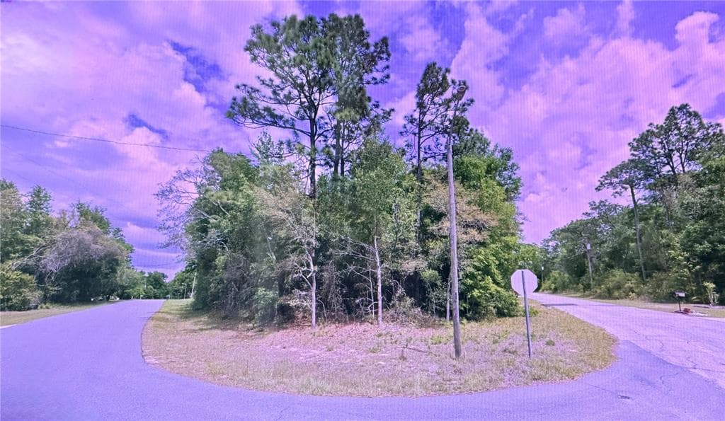 2787 W ELGIN PLACE CITRUS SPRINGS, FL 34434
