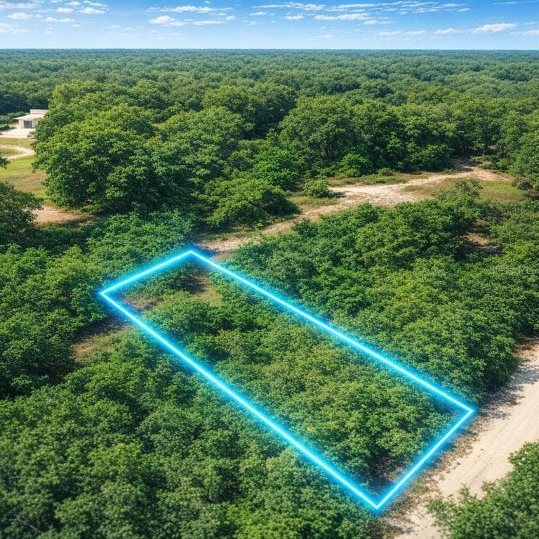 34237 SHAFFER DRIVE DADE CITY, FL 33523