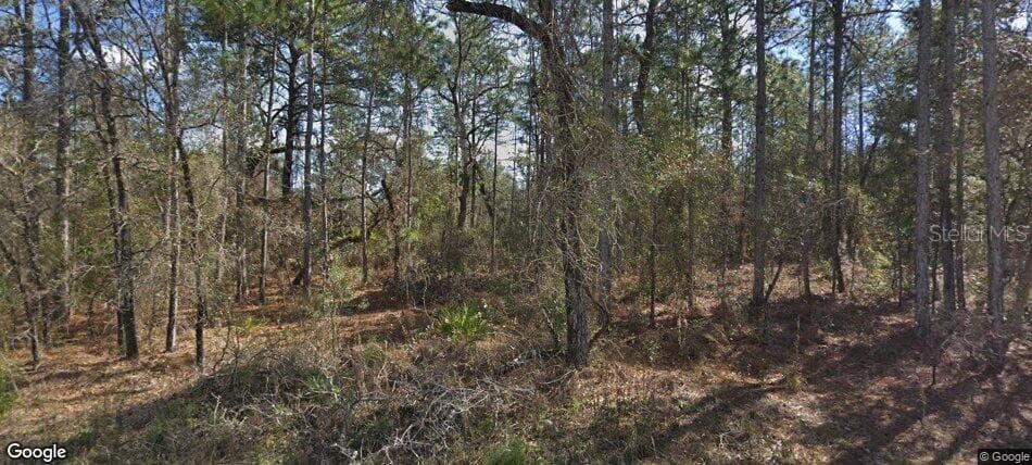 14390 ENGLISH SPARROW ROAD WEEKI WACHEE, FL 34614