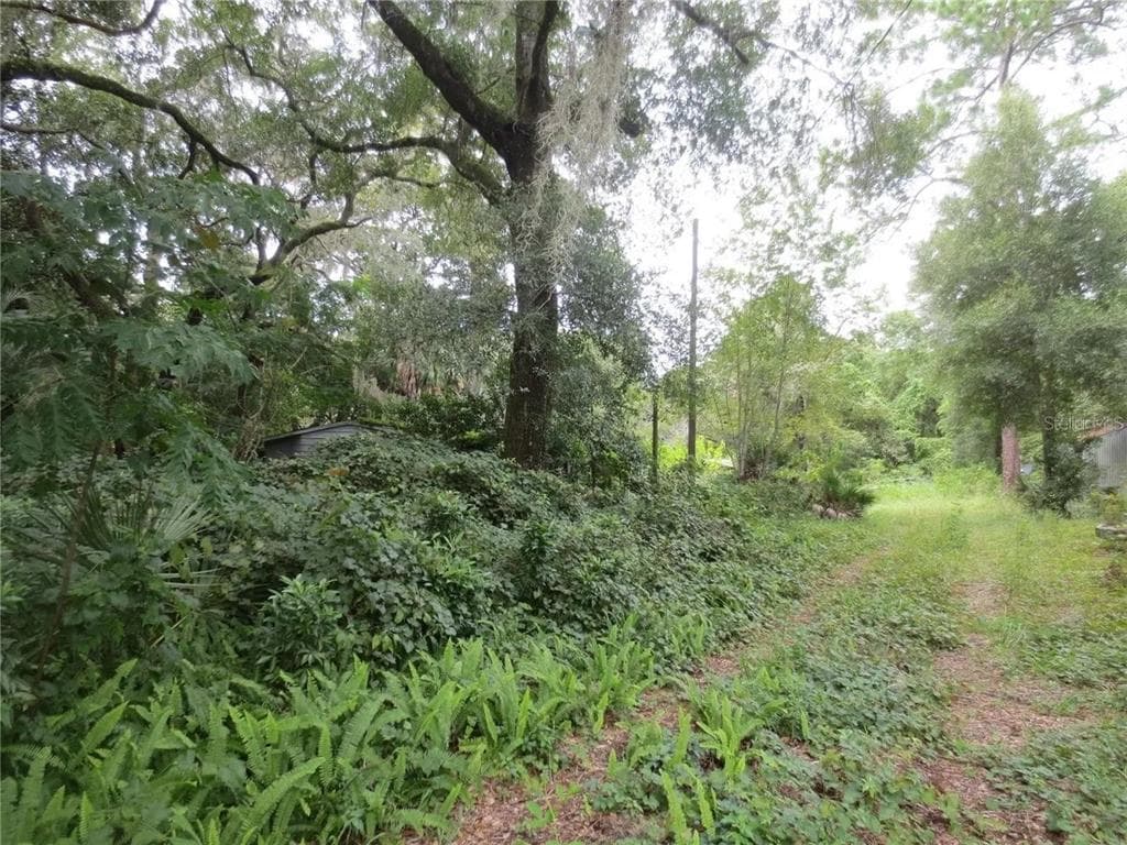 16865 SE 3RD PLACE SILVER SPRINGS, FL 34488