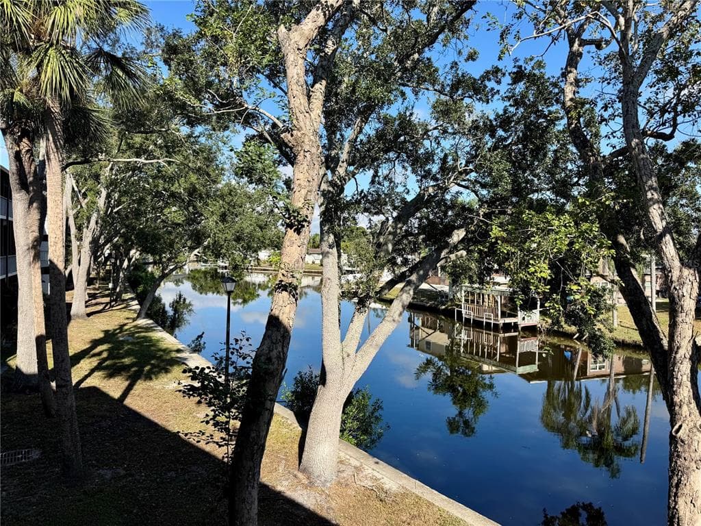 9205 TUDOR DRIVE UNIT C208 TAMPA, FL 33615