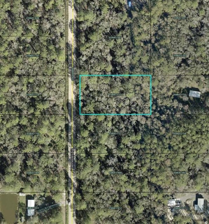 10690 HENNESSEY AVENUE HASTINGS, FL 32145