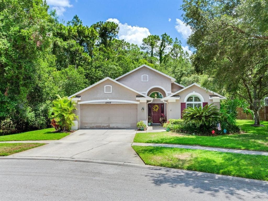 12502 BLAZING STAR DRIVE TAMPA, FL 33626