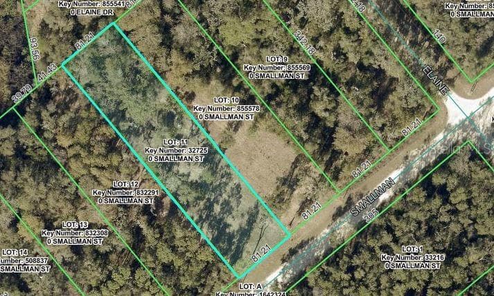 SMALLMAN STREET WEBSTER, FL 33597