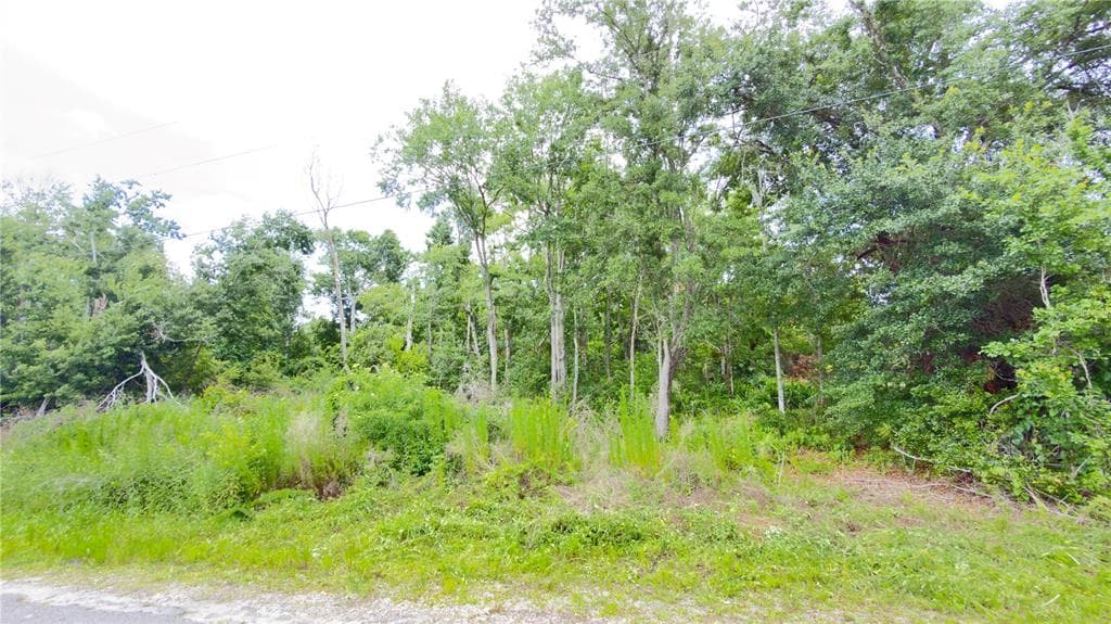 7402 LAND DRIVE WESLEY CHAPEL, FL 33545