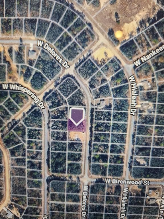 1360 W DOLORES DRIVE CITRUS SPRINGS, FL 34434