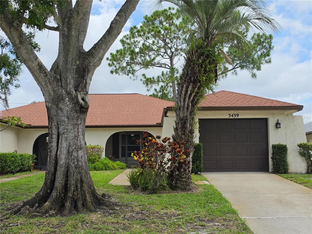 3439 MACLAREN DRIVE PALM HARBOR, FL 34684