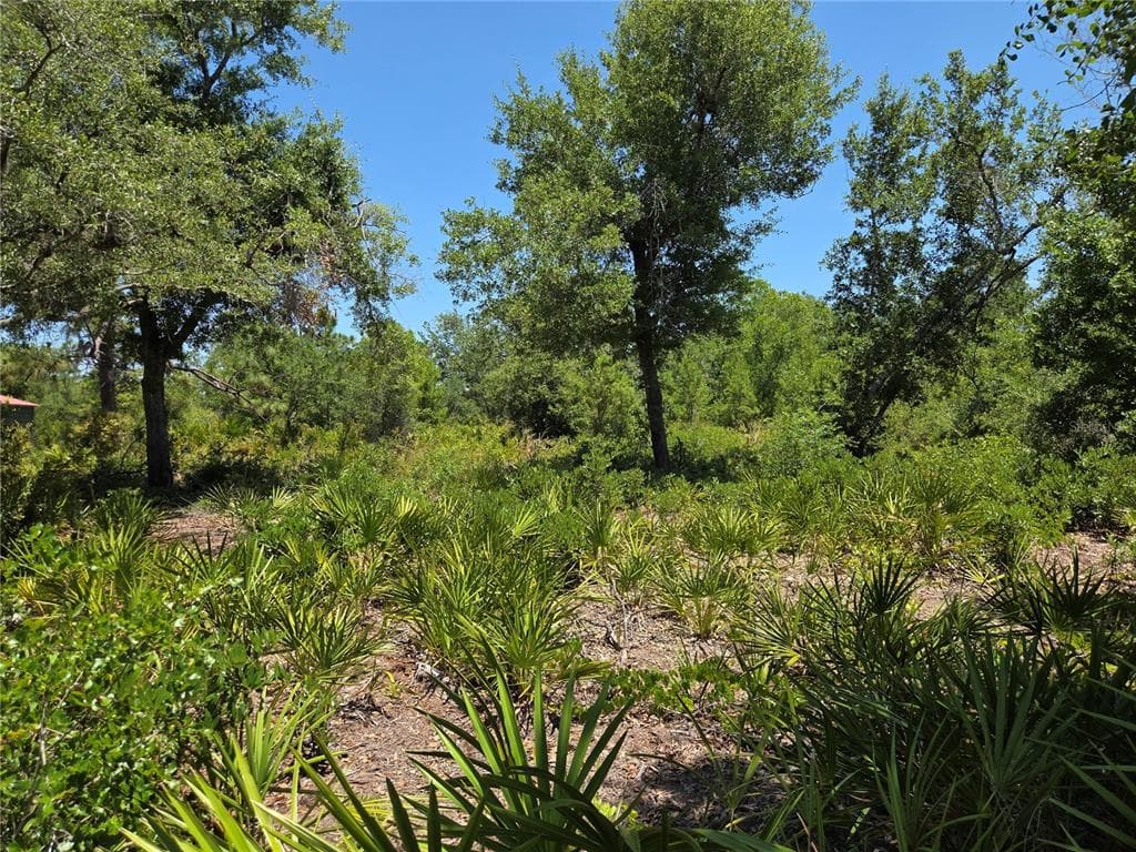33410 WASHINGTON LOOP ROAD PUNTA GORDA, FL 33982