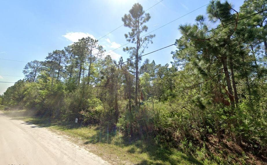 2834 ORANGE BLOSSOM STREET BUNNELL, FL 32110