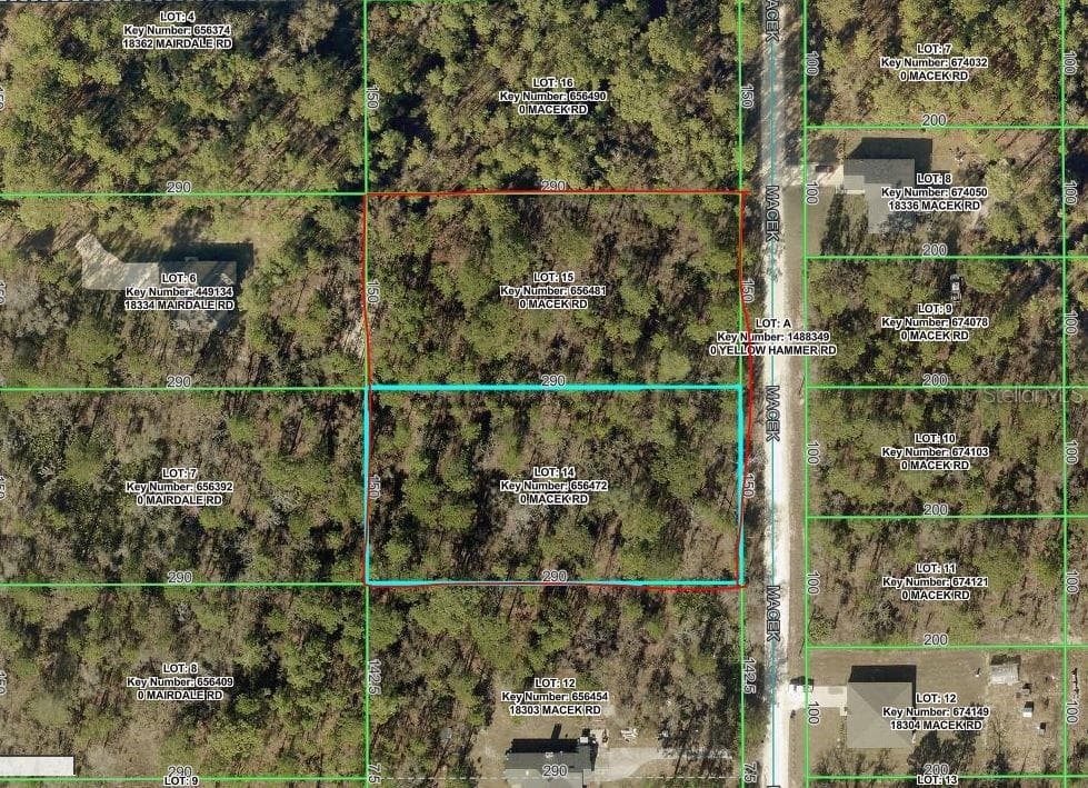 18315 MACEK ROAD WEEKI WACHEE, FL 34614