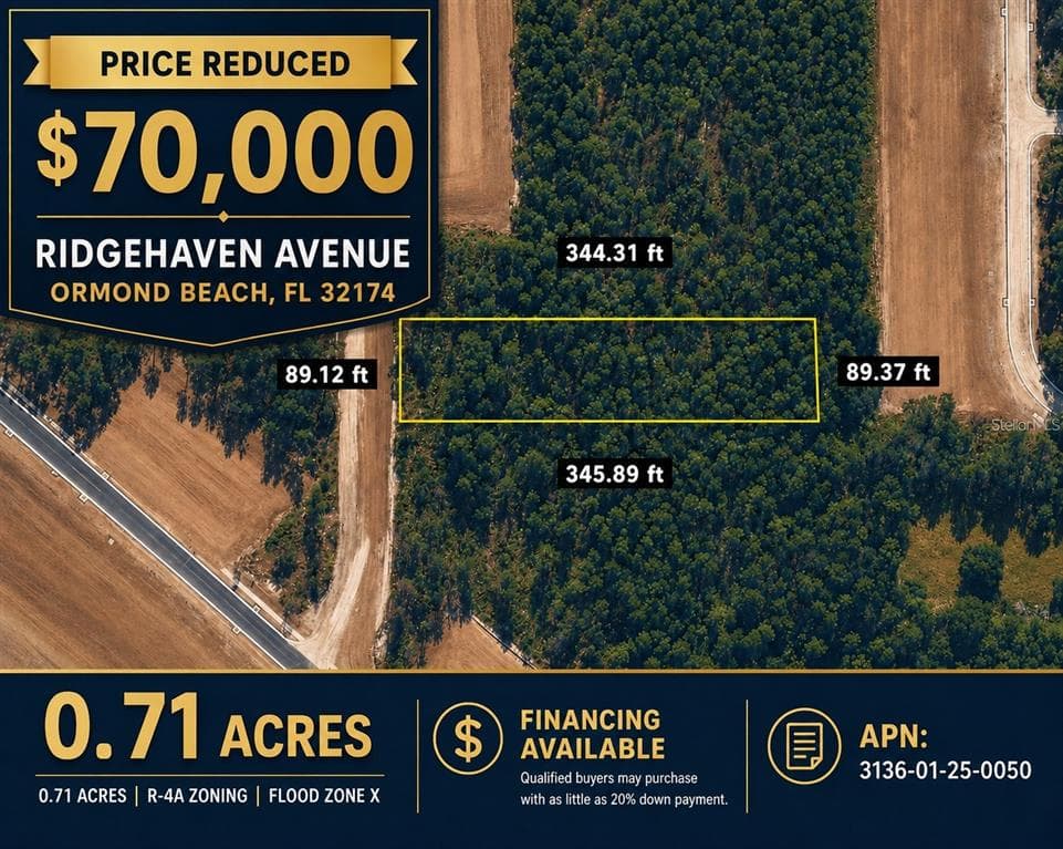 RIDGEHAVEN AVENUE ORMOND BEACH, FL 32174