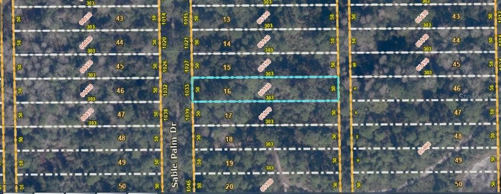 1033 SABLE PALM DRIVE CHRISTMAS, FL 32709