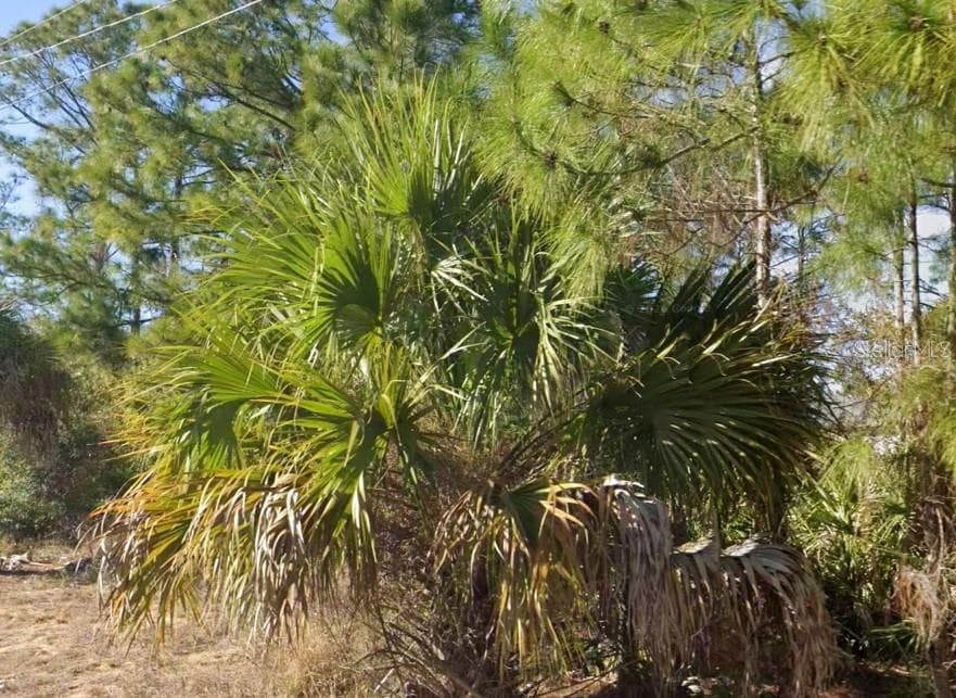 2706 52ND STREET W LEHIGH ACRES, FL 33971
