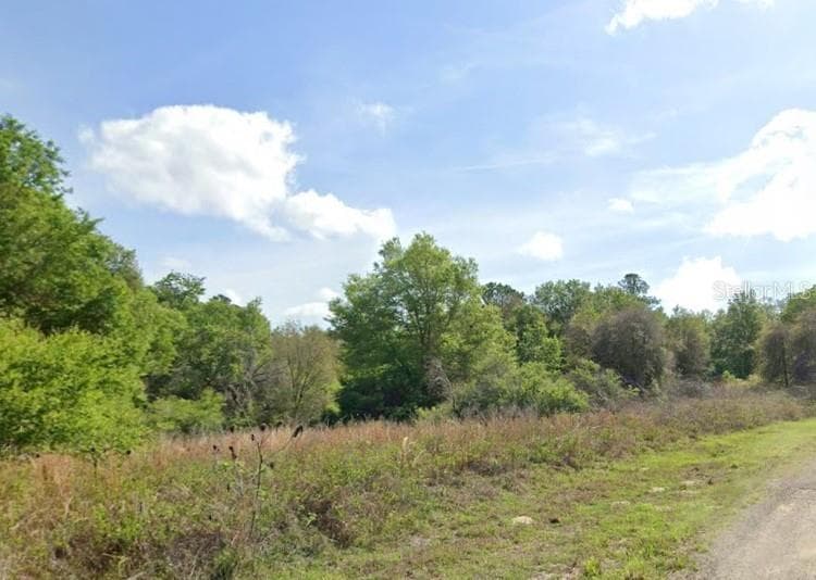 7995 N WALTON TERRACE DUNNELLON, FL 34434