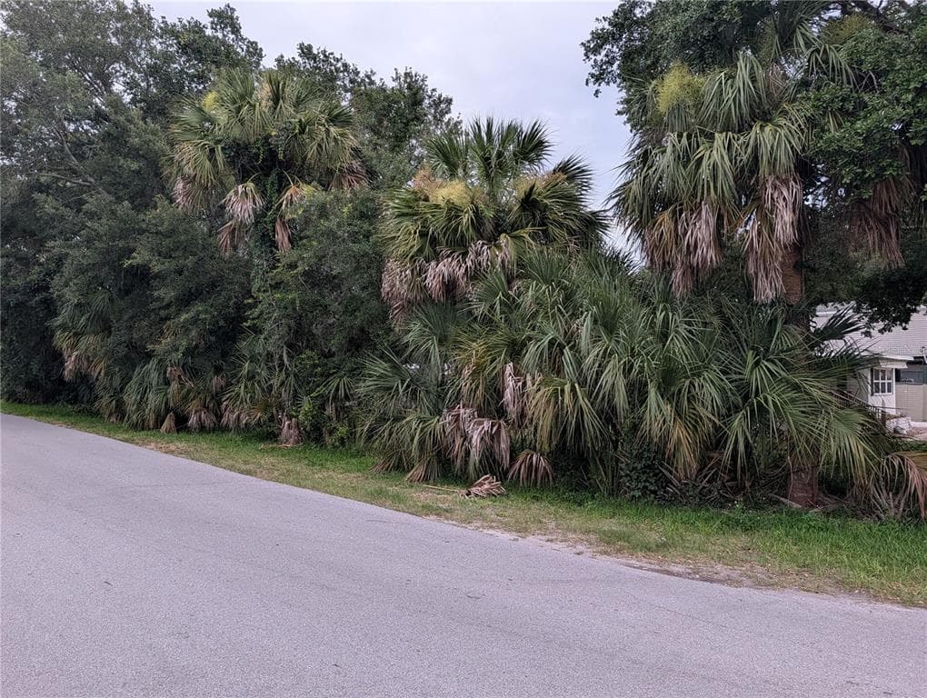 SEBRING STREET