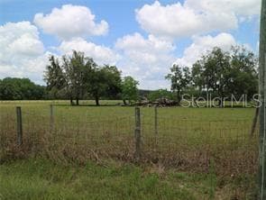 11819 TARPON SPRINGS ROAD