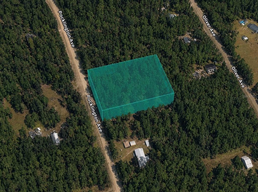 9740 POCKLINGTON AVENUE HASTINGS, FL 32145