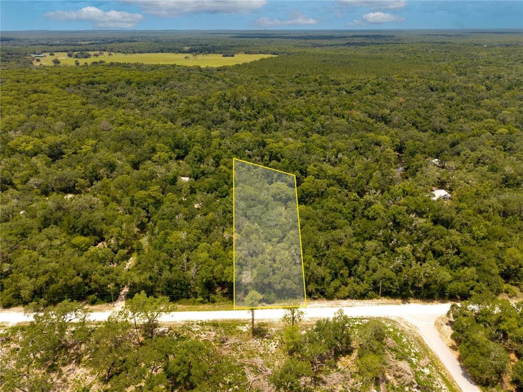 7353 RIVERVIEW DRIVE WEBSTER, FL 33597