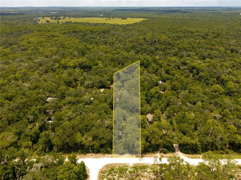 7337 RIVERVIEW DRIVE WEBSTER, FL 33597