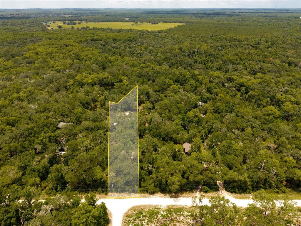 7333 RIVERVIEW DRIVE WEBSTER, FL 33597