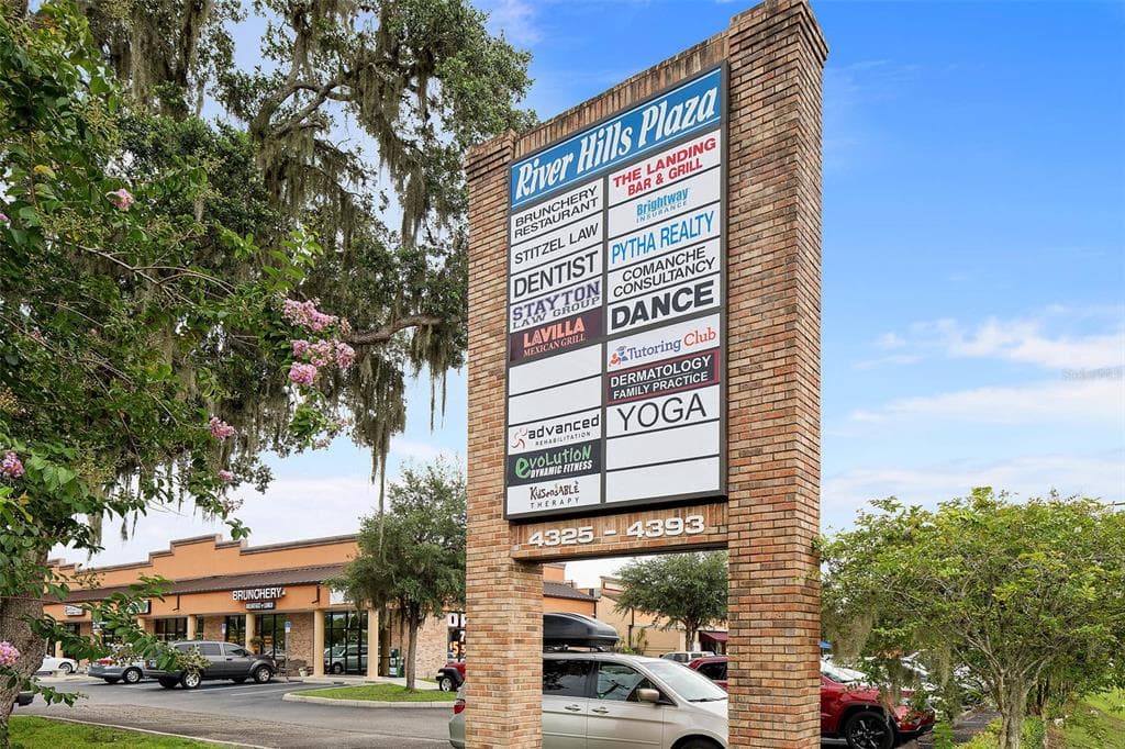 4325 LYNX PAW TRAIL UNIT 4325 VALRICO, FL 33596