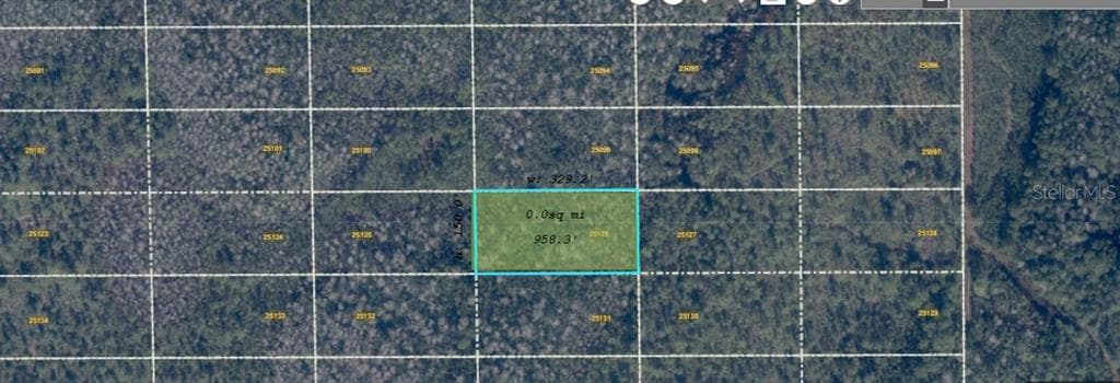 DILL ROAD ORLANDO, FL 32820